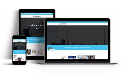 WEBSİTESİ HİZMETLERİ